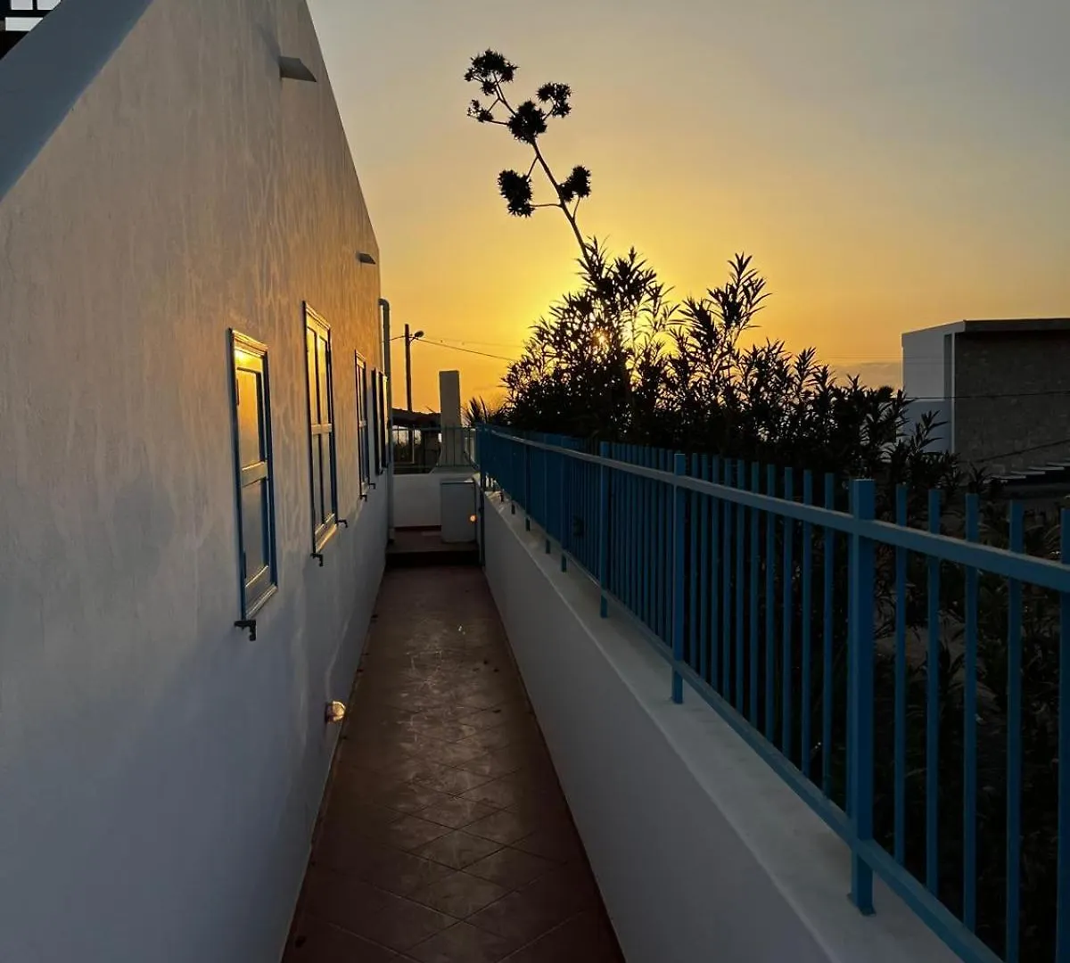 Dolphin Cabo Verde Tarrafal  Holiday home